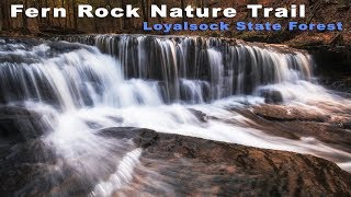 preview picture of video 'Landscape Photography - Fern Rock Nature Trail - Loyalsock State Forest'