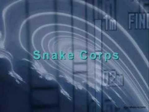 Snake corps - This is a seagull(remix)