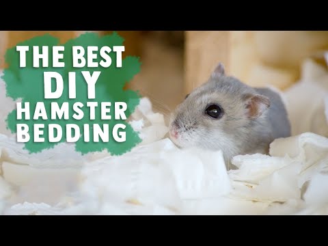 YouTube video about: Can I use shredded newspaper for rabbit bedding?