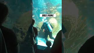 Bible Diving