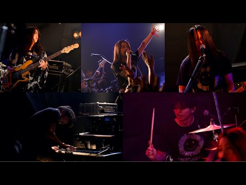 青い熱帯の花抵抗力の強い冬の霜