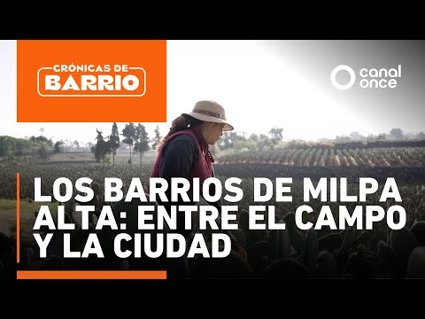 Neighborhood Chronicles - The neighborhoods of Milpa Alta: between the countryside and the city (...