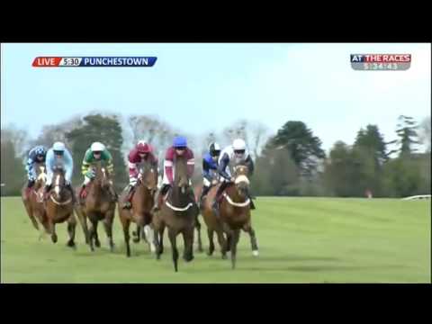 One Track Mind - Ladbrokes Champion Stayers Hurdle (Grade 1) - 2016