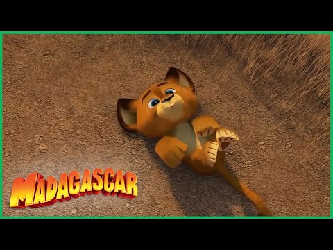Capa de DreamWorks Madagascar | Alex Bebê Sequestrado! | Madagascar  Escape 2 Africa Filme