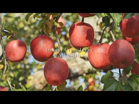 ホテルサンルート青森　色とりどりの四季を楽しむ青森市