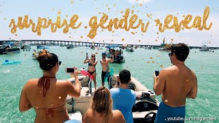 SURPRISE Gender Reveal at Crab Island Destin