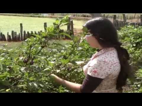 A prima Órfã - Versão brasileira: A Fé Primitiva Produções