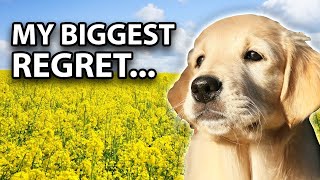I Wish I Knew THIS Before Getting A Golden Retriever Puppy