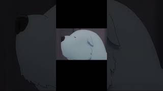 【アーニャードコア】ルーキーにブチギレのアーニャ主任 #shorts