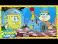 SpongeBob | SpongeBob passt auf Sandys freche Nichten auf! | SpongeBob Schwammkopf