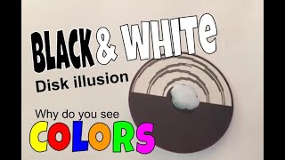 Black & White Disk Illusion experiment