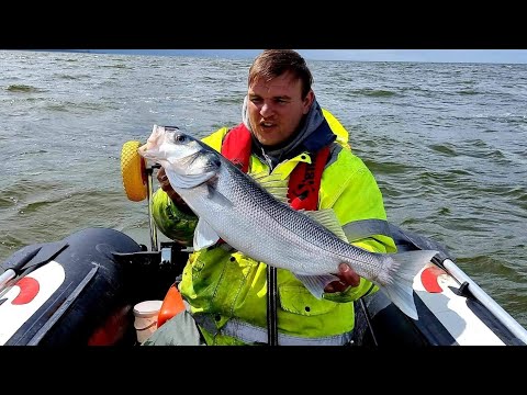 man wearing a hi viz jacket in a boat holding a huge fish