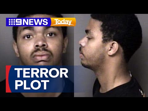 Teen arrested over alleged New Year Eve terror plot | 9 News Australia