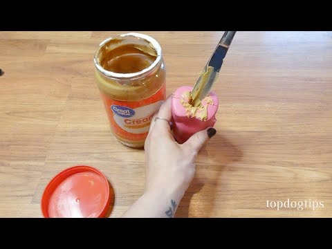 How To Stuff A KONG Dog Toy