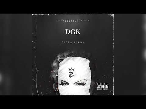Playa Larry - DGK (Visualizer)