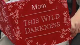 Moby - This Wild Darkness (Edit)