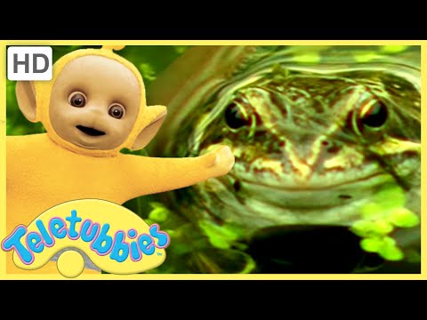 ★Teletubbies English Episodes★ Frogs ★ Full Episode - HD (S09E212)