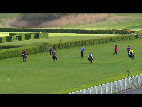 Dostihy Most 6. 5. 2023 - Pony liga Akraz bezpečnostní agentura - 1. oddělení