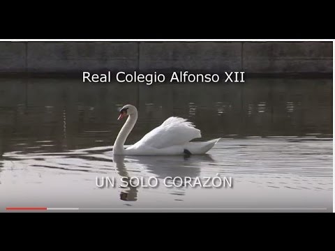 Video Youtube REAL COLEGIO ALFONSO XII