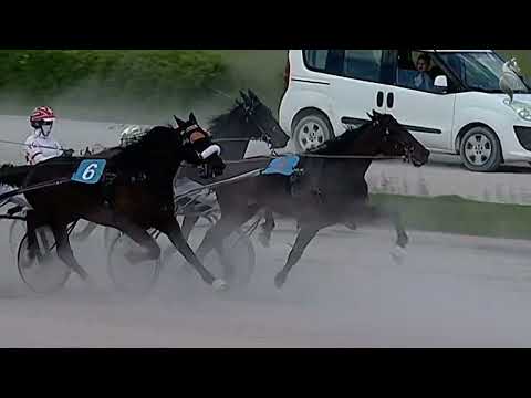 Aversa trotto 26 Aprile 2023 - 4° Corsa