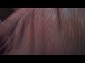 Ice Age 5 Movie Collection DVD Unboxing
