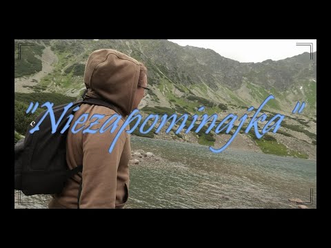 Niezapominajka (Official Video) Zet x Emilka x DJ Cider #cztery_strony_świata