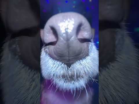 🤣🤣🤣🤣😂😂🤣🤣🤣🤣