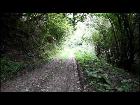 Drumul Cernisoara Florese Vadu Dobrii