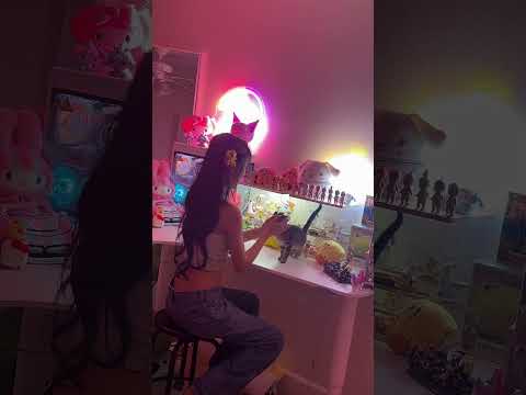 I swapped my sisters kitten #wusworld