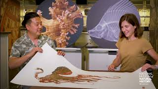 Gyotaku Fish Printing with Dwight Hwang