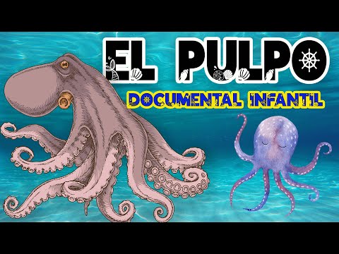 EL PULPO 🐙 | Videos educativos para niños |Los animales | Animales marinos | Documentales para niños
