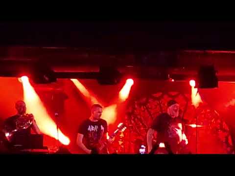 Armia - Niewidzialna armia/Zostaw to - Proxima 11.05.2024