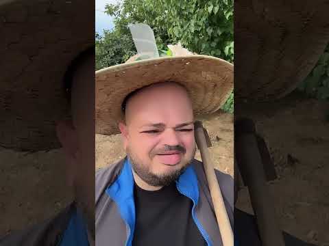 IMBARAZZI - IL "CAMPO" ESTIVO