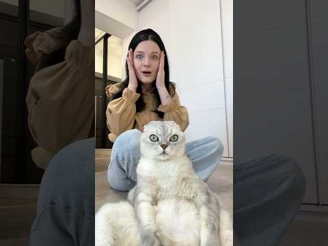 Rate this cat nail hack 1–10 🐾 #cat #cattips #funnypets #hacks #catcare