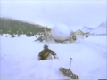 Nickelodeon Movies Snow Day Variant