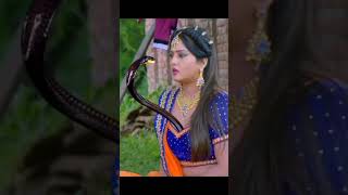 Download lagu Gadis dan ular 🐍berciuman 2023 #youtubeshorts #shortsvideo #shortviral #trending mp3