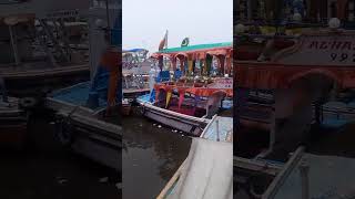 Download lagu KEMARI #karachi #pakistan #jettyfishing #fishing #boat #sea #ferry #ocean #travel #shorts #funny mp3 Download lagu KEMARI #karachi #pakistan #jettyfishing #fishing #boat #sea #ferry #ocean #travel #shorts #funny mp3
