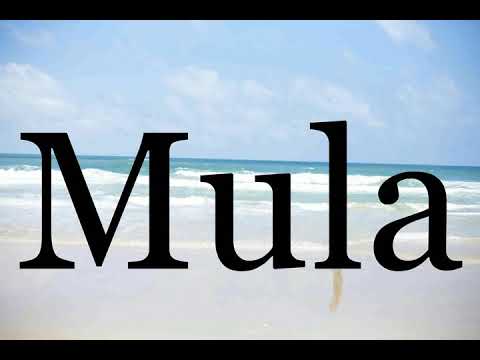 How To Pronounce Mula🌈🌈🌈🌈🌈🌈Pronunciation Of Mula