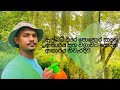 ඇල්බට් දියර පොහොර සාදන ආකාරය සහ වගාවට 