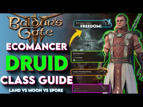 Ecomancer DRUID Class Guide For Baldur's Gate 3! - (Baldurs Gate 3 Druid Build Guide)