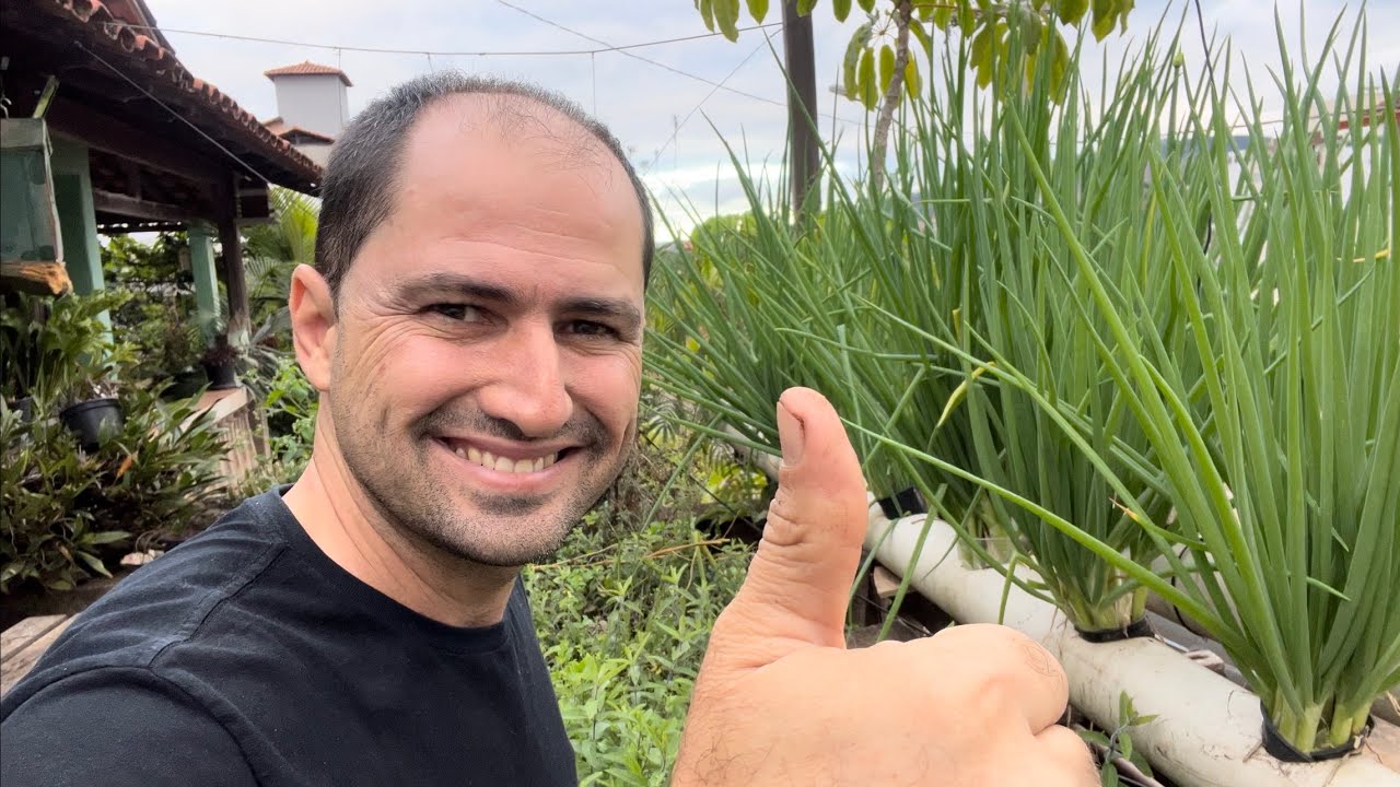 CEBOLINHA SÓ DA LUCRO - GANHE DINHEIRO FACILMENTE