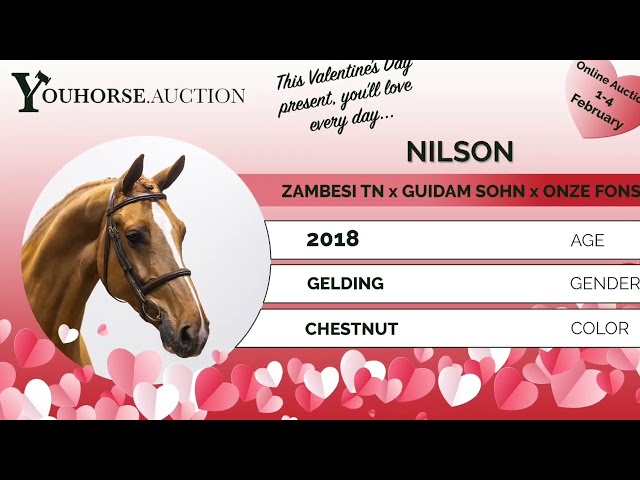 Nilson showvideo