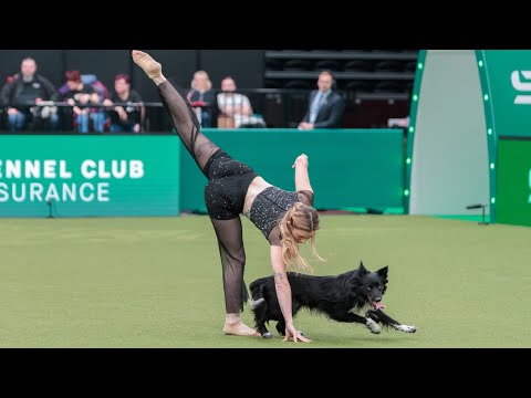Crufts 2025 / Rhythm and Roni Sagi