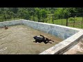 Rottweiler saving owner from drowning @thepahadirottweiller