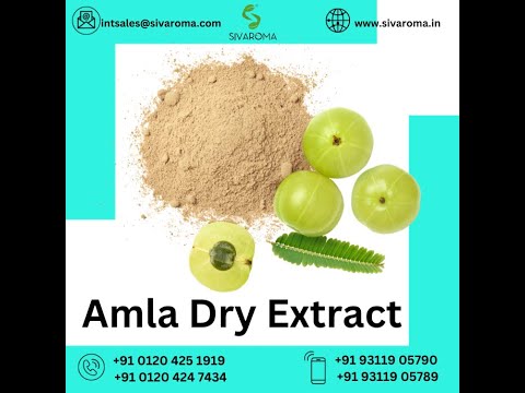 Amla Extract Powder