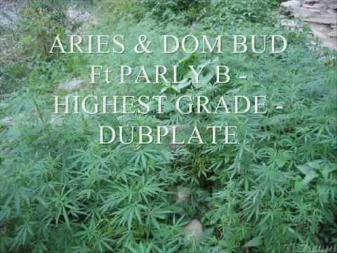 ARIES & DOM BUD Ft PARLY B - HIGHEST GRADE - DUBPLATE