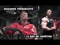 11 savaičių iki varžybų | nugaros treniruotė | EP. 4 | Insane Lukas & Dainius IFBB PRO