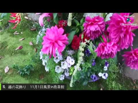 越の花飾り11月1日風景in燕喜館