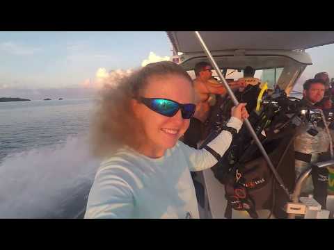 Narcosis Scuba Gulf of Mexico Dive Trip 8-19-18