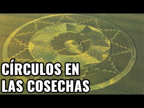 EL MISTERIO DE LOS CIRCULOS DE LAS COSECHAS (Documental) LSChannel